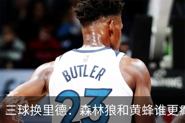三球换里德：森林狼和黄蜂谁更癫？！